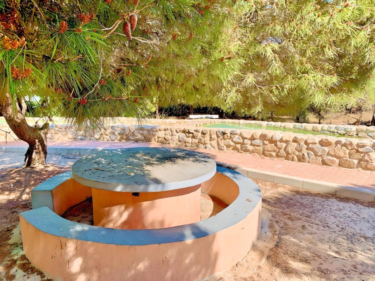 Your Holidays In La Mata Торевьиа Экстерьер фото